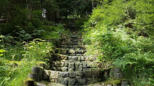 stairs stone stairway hiking