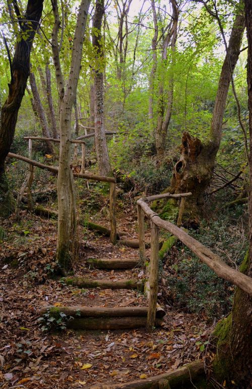 stairs wood the european path