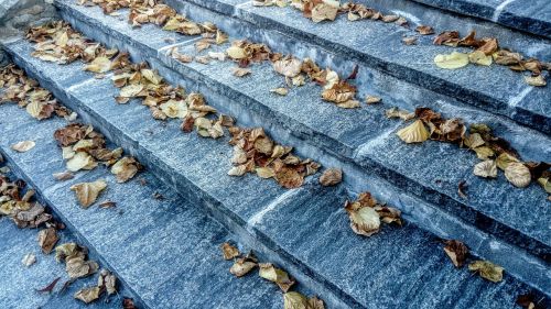 stairs marble autumn leaves