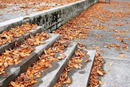 stairs dry leaves october