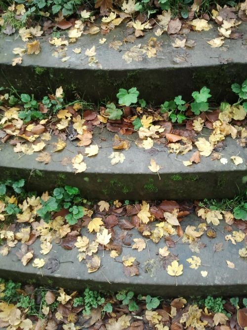 stairs gradually autumn