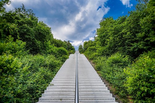 stairs  park  nature