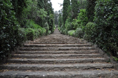 stairs  garden  park