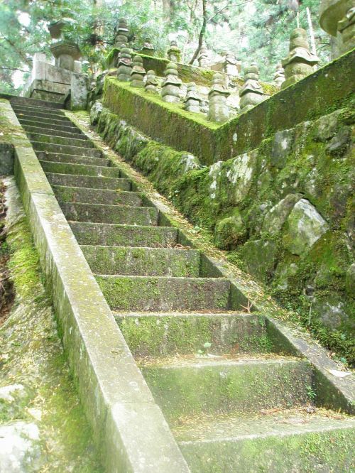 stairs moss green