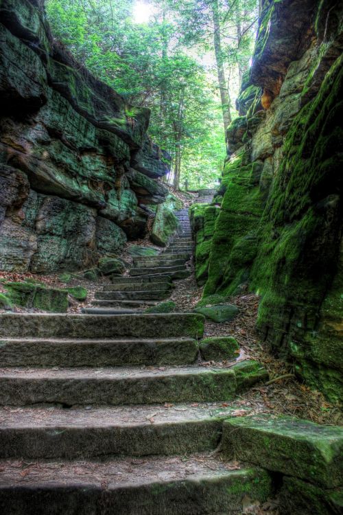 stairs nature stairway