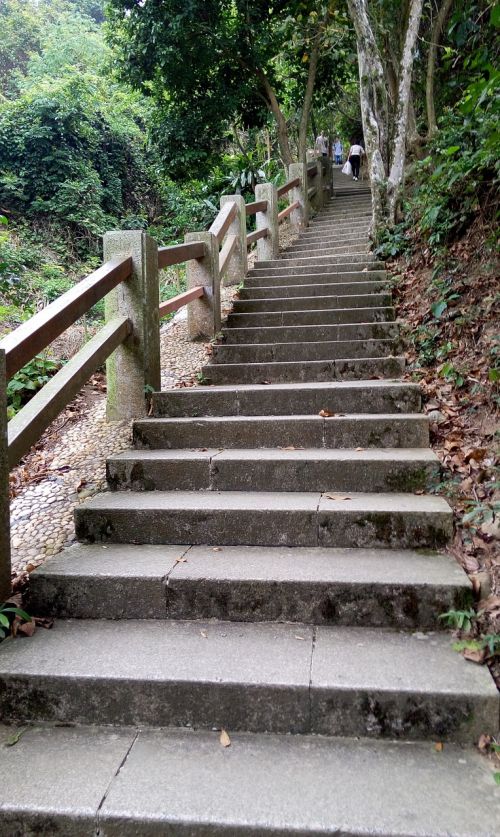 stairs green plank