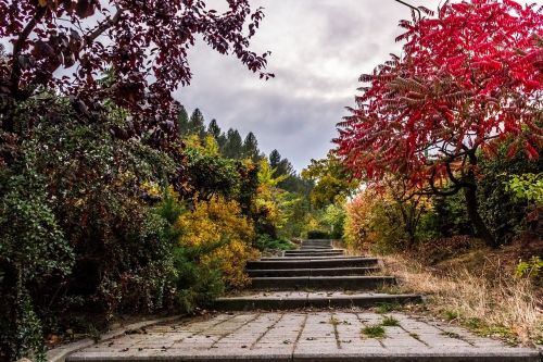stairs path nature