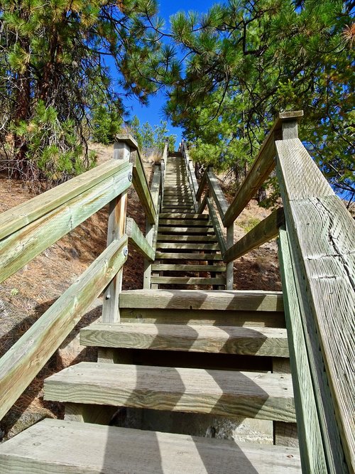 stairway  stairs  wooden