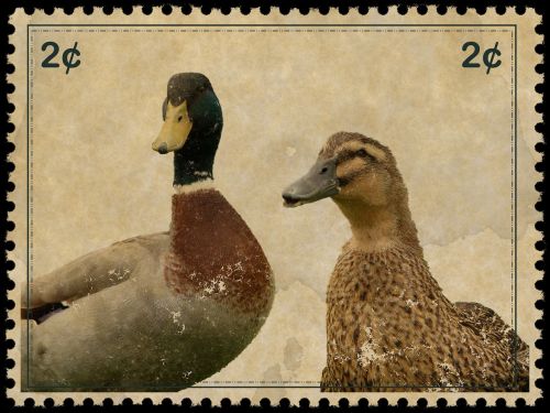 stamp postage vintage