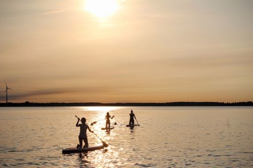 stand up paddle sunset water