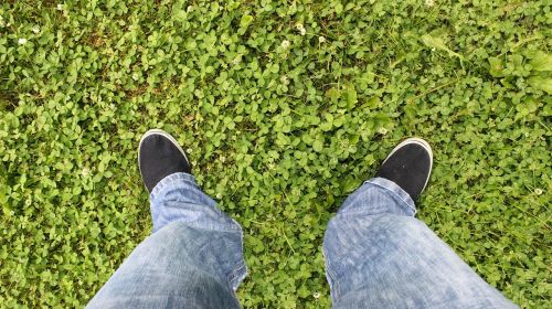 standing on the grass jeans clover