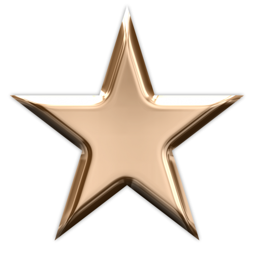 star bronze winner