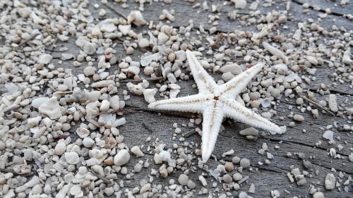 star sand beach