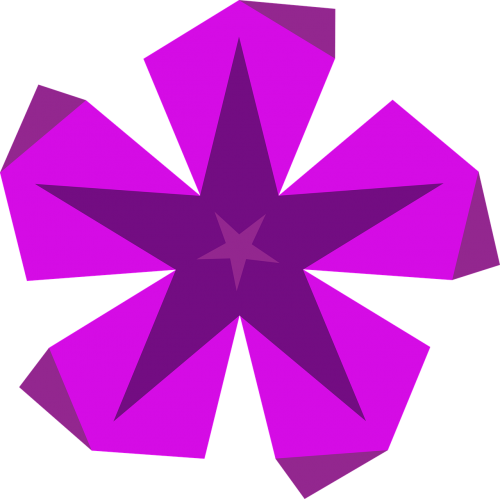 star violet purple flower