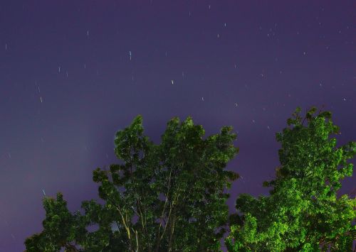 star sky tree