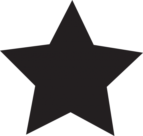 star icon flat