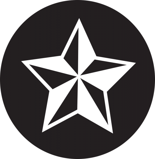 star icon flat