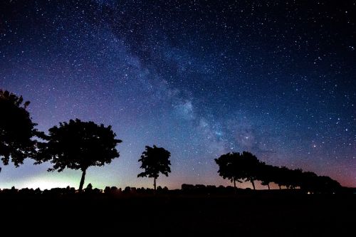 star milky way trees