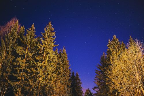 star night sky landscape