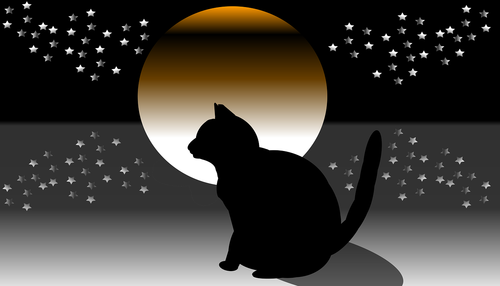 star  night  cat