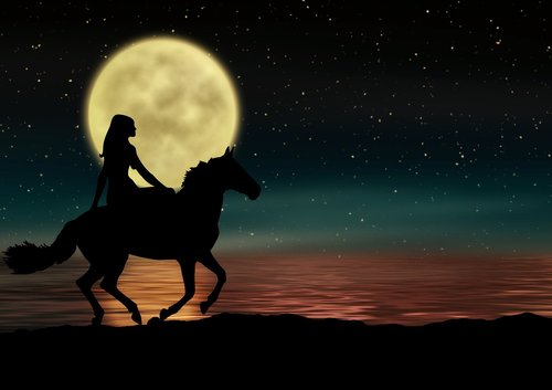star  moon  horse