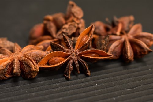 star anise  condiments  star