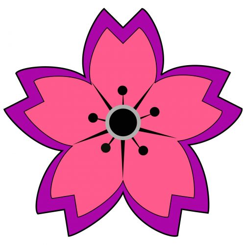 Star Flower