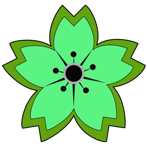 Star Flower