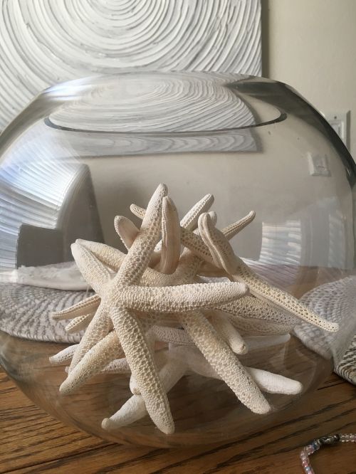 starfish beach decor