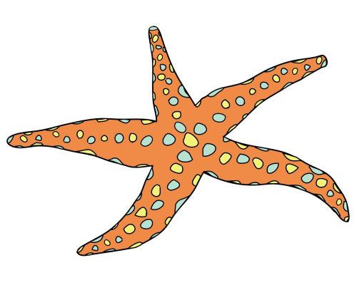 starfish art white