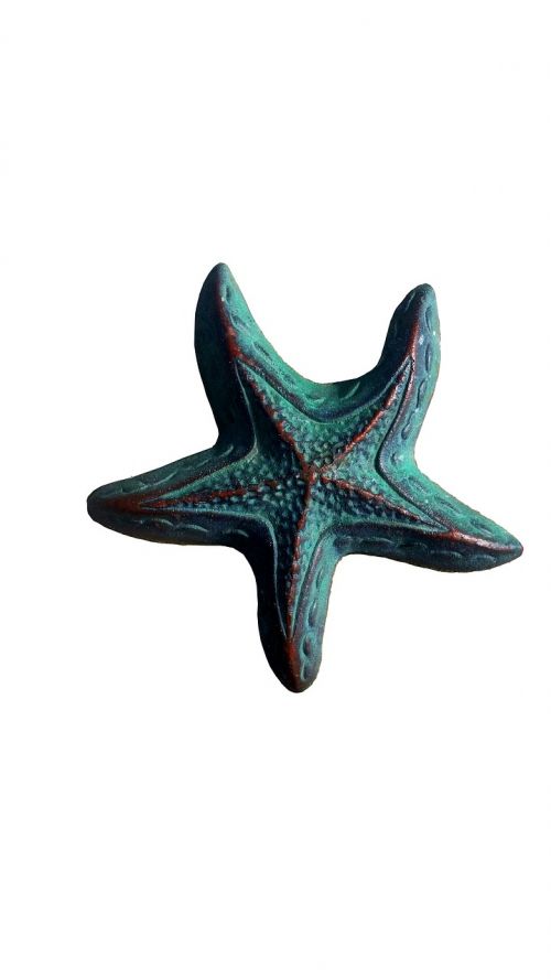 starfish beach nature sculpture