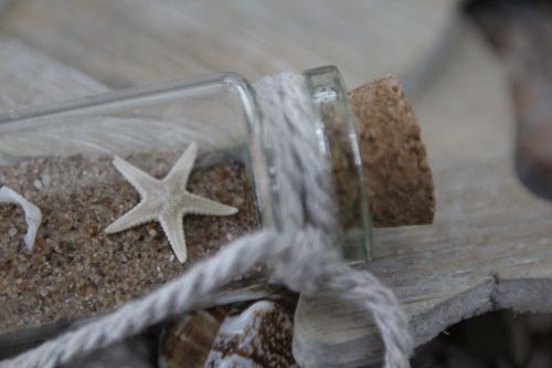 starfish bottle sand