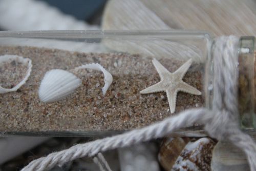 starfish bottle sand