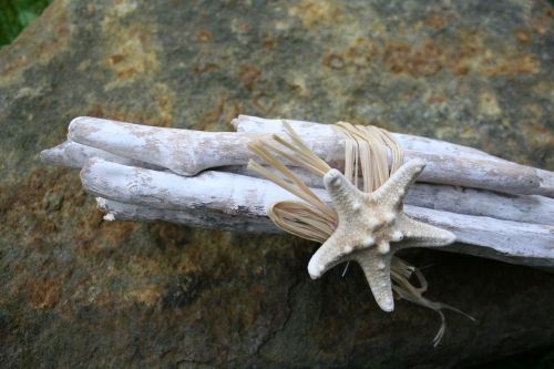 starfish deco decoration