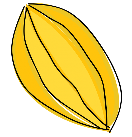starfruit fruit cartoon
