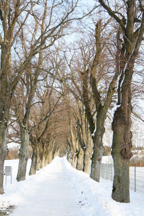 starnberg winter wintry