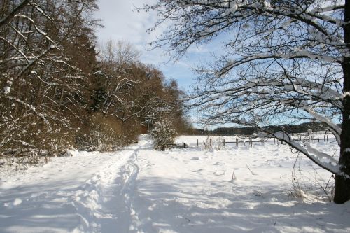 starnberg winter wintry