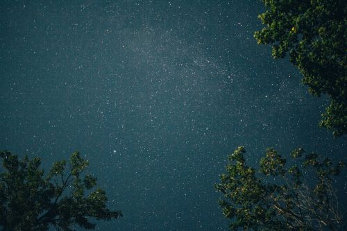 stars sky night