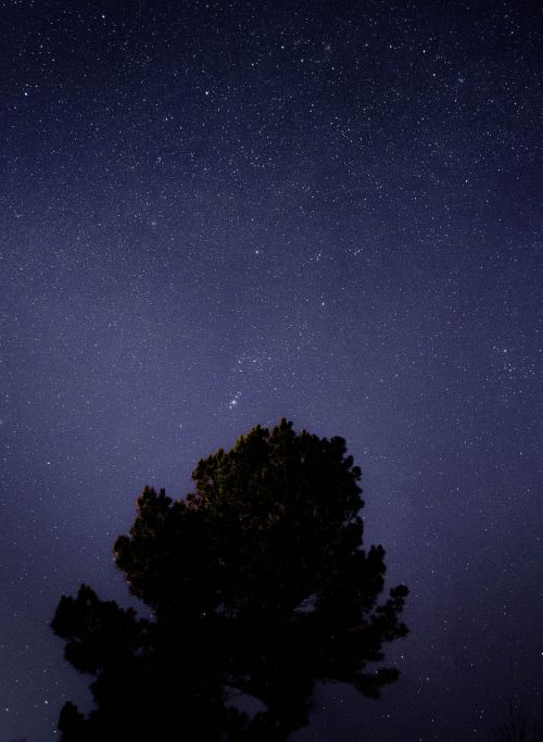 stars night sky