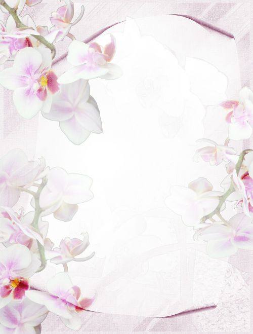 stationery orchid purple