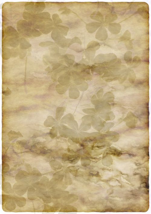 stationery flora paper