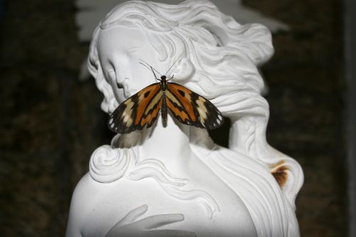 statue butterfly face