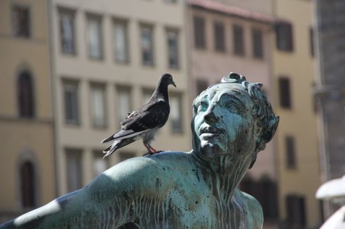 statue bronze pigeon