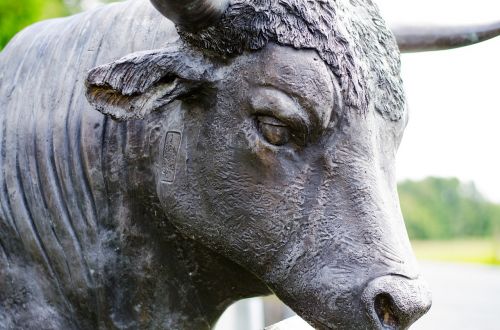 statue bull animal