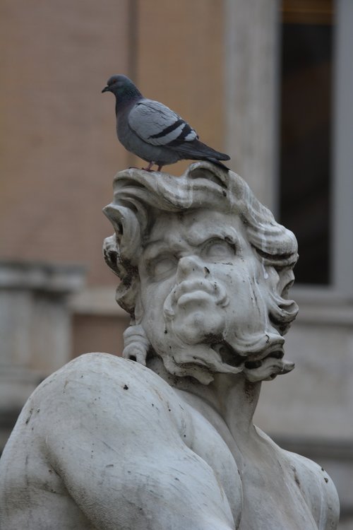 statue  bird  italy