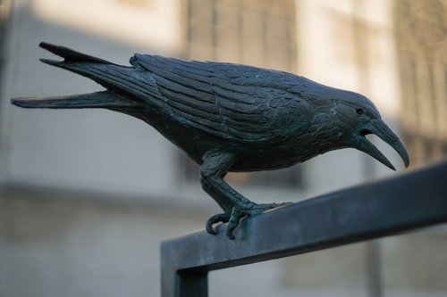 statue  raven  crow