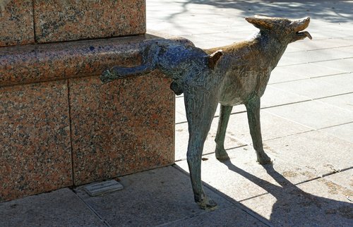 statue  image  dog