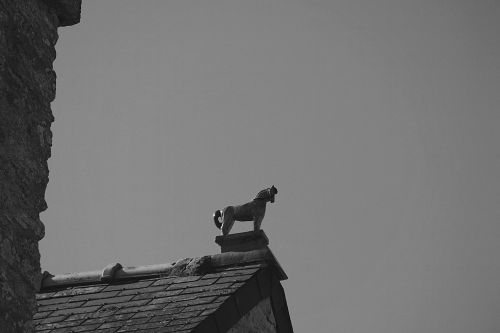 Statue On Rooftops