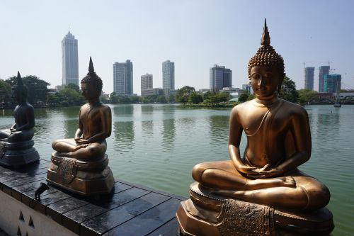 statues buddha skyscrapers