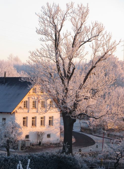 Building In Winter